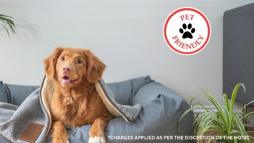 Love Hotels Junction City KS Near Fort Riley By OYO image 38